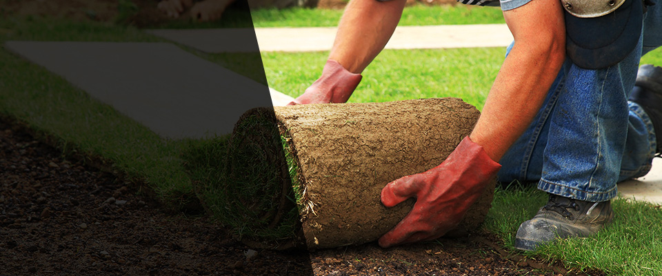 Harleysville Landscapers